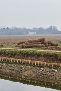vnf berges vegetales dt-bourgogne-centre accolay berges vegetales 032