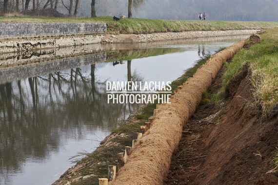 vnf berges vegetales dt-bourgogne-centre accolay berges vegetales 042