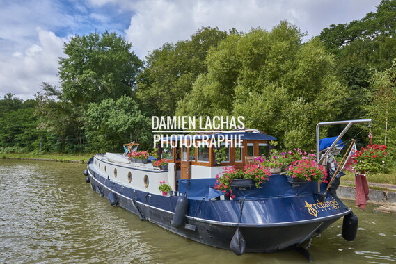 vnf canal nivernais sardy dirol 043