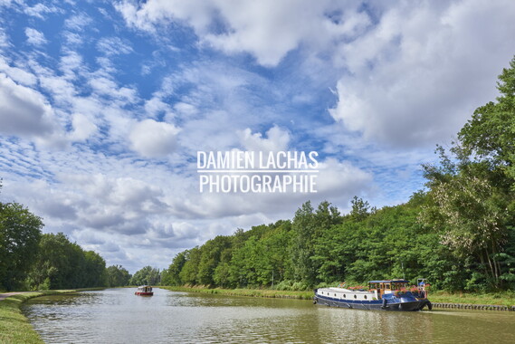 vnf canal nivernais sardy dirol 045