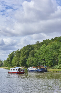 vnf canal nivernais sardy dirol 046