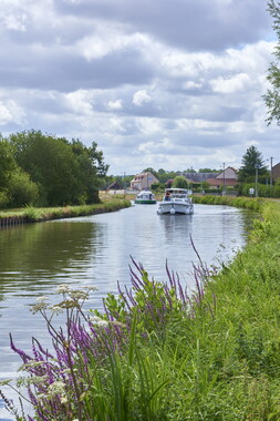 vnf canal nivernais sardy dirol 051