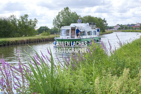 vnf canal nivernais sardy dirol 052