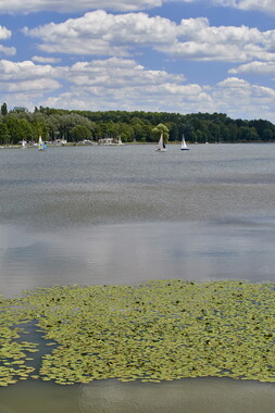 vnf dtcb nivernais baye etang 007