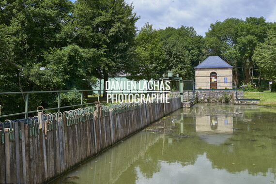 vnf dtcb nivernais biches barrage aiguille 004
