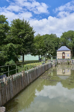 vnf dtcb nivernais biches barrage aiguille 005
