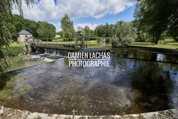vnf dtcb nivernais biches barrage aiguille 006
