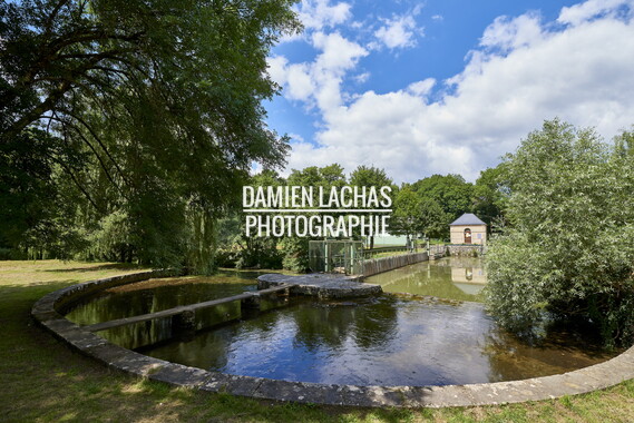 vnf dtcb nivernais biches barrage aiguille 008