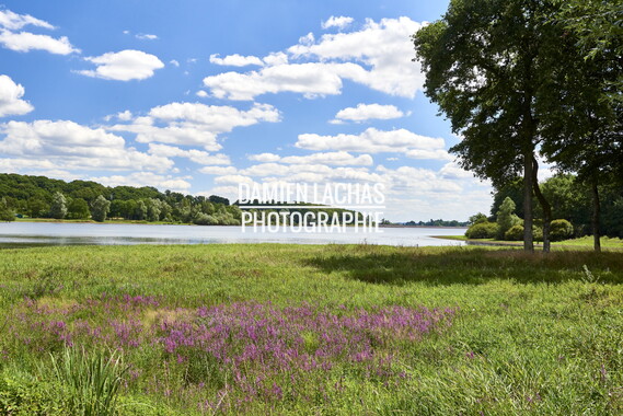 vnf dtcb nivernais etang vaux 005