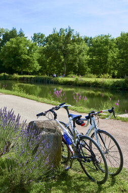 vnf dtcb nivernais pregilbert-ecluse-dame 014