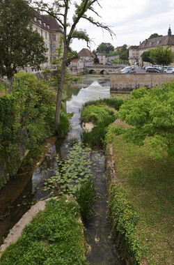 saone lyon dole juin2014 mardi 141