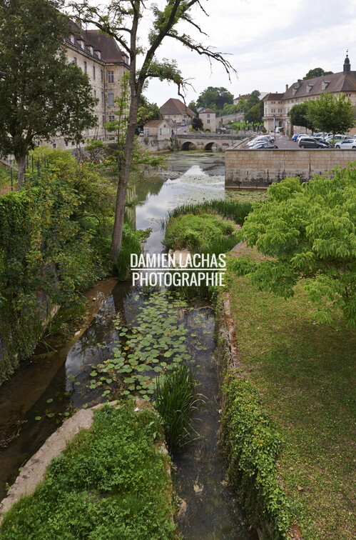 saone_lyon_dole_juin2014_mardi_141.jpg