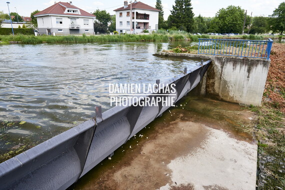 vnf dtrs crr faucardage 014