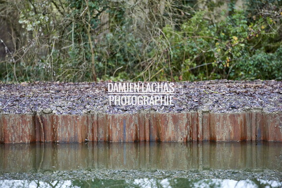 vnf dtrs crr routelle berges 008