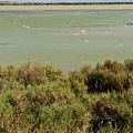 canal rhone sete mai2014 vnf 031