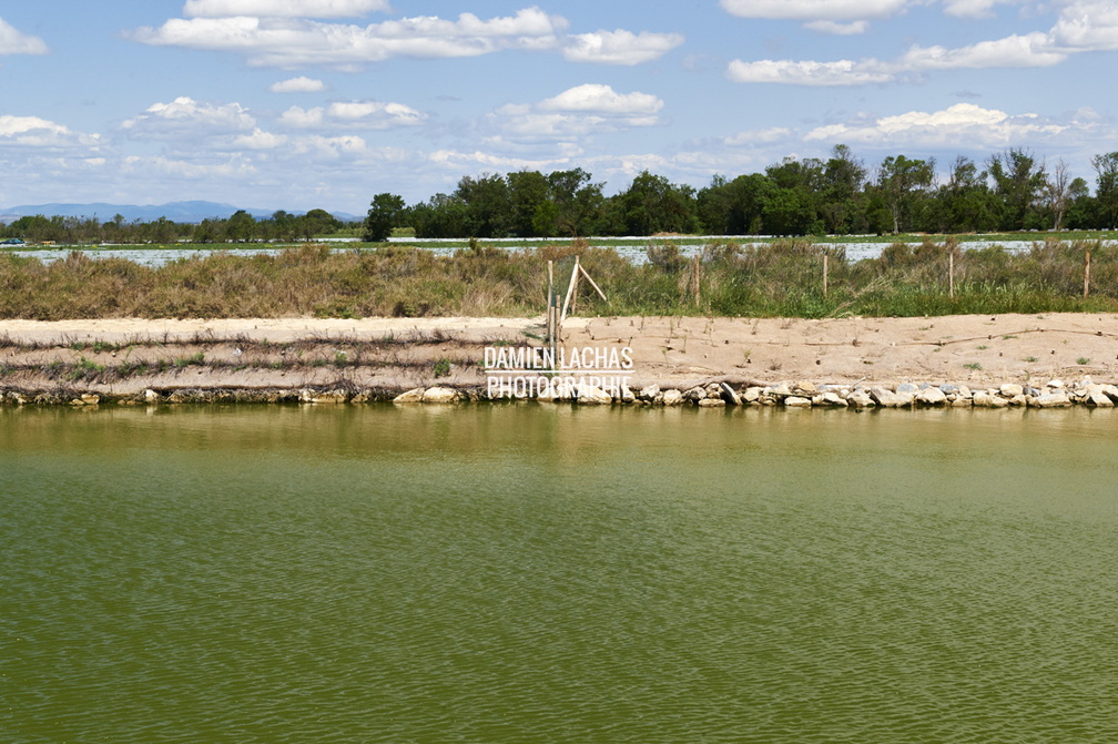 canal_rhone_sete_mai2014_vnf_049.jpg