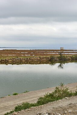 vnf canal rhone sete casier materiaux 007
