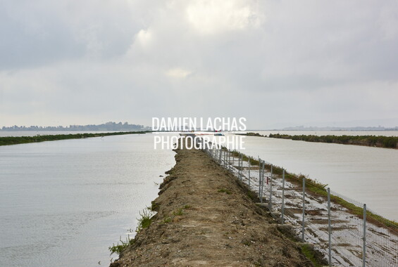 vnf canal rhone sete drague maguelone 002