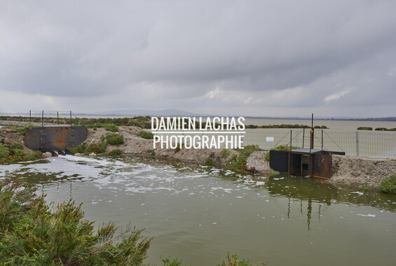 vnf canal rhone sete drague maguelone 004