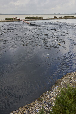 vnf canal rhone sete drague maguelone 014