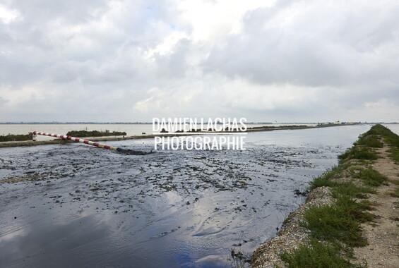vnf canal rhone sete drague maguelone 018