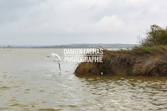vnf canal rhone sete drague maguelone 021