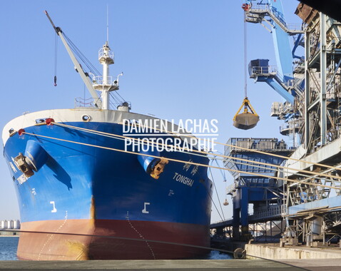 vnf crs port sete 003