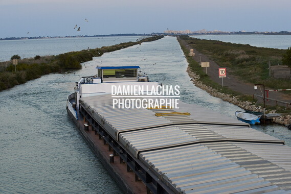 vnf delmonico crs navigation commerce 055