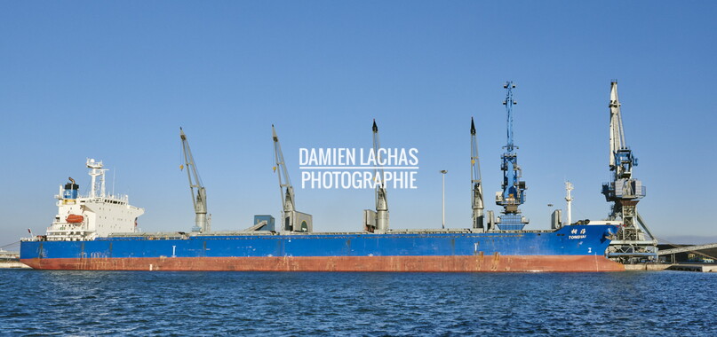 vnf delmonico crs navigation commerce 082