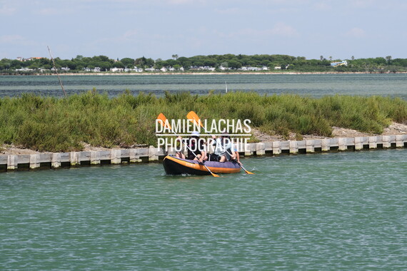 vnf dtrs crs aviron-kayak 023