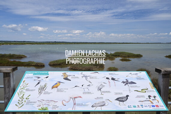 vnf dtrs crs biodiversite 012