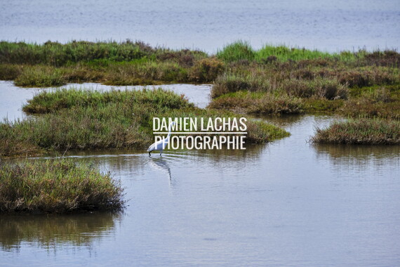 vnf dtrs crs biodiversite 013