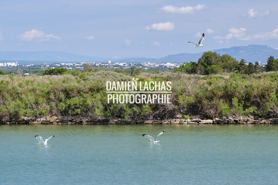 vnf dtrs crs biodiversite 021