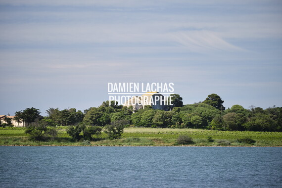 vnf dtrs crs paysage 002