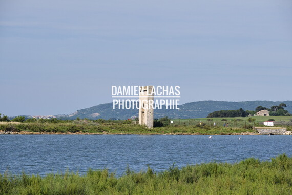 vnf dtrs crs paysage 004
