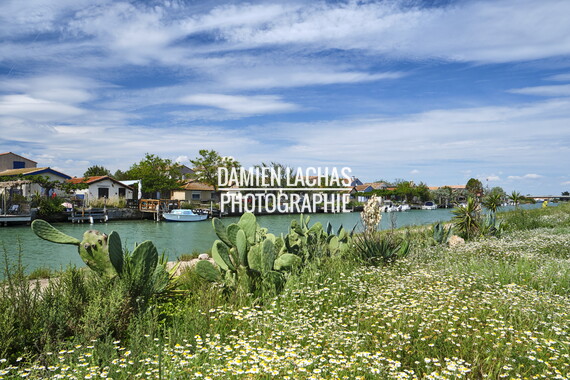 vnf dtrs crs paysage 009