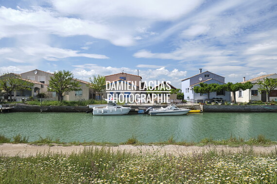 vnf dtrs crs paysage 011