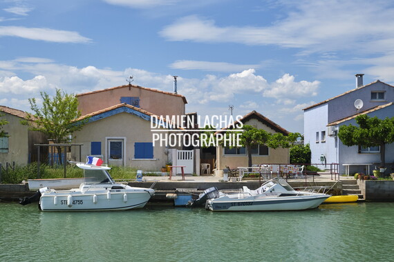 vnf dtrs crs paysage 012