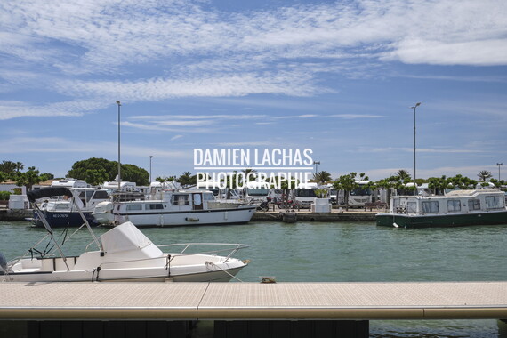 vnf dtrs crs paysage 014