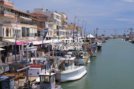 vnf dtrs crs paysage 016