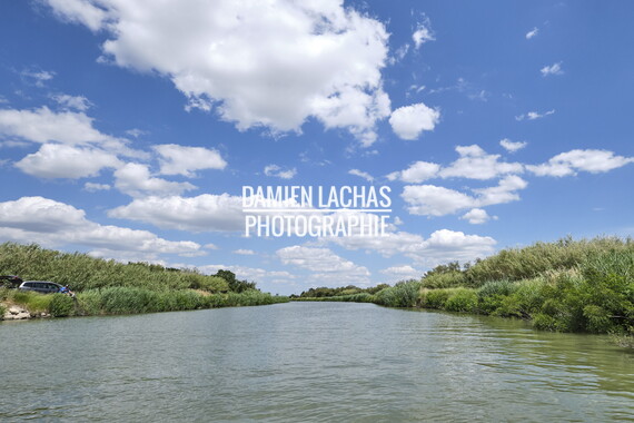 vnf dtrs crs paysage 027