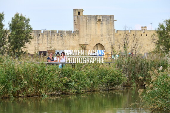 vnf dtrs crs tourisme biodiversite paysage camargue 002