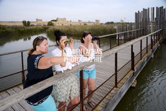 vnf dtrs crs tourisme biodiversite paysage camargue 003
