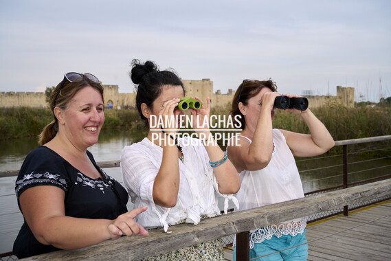 vnf dtrs crs tourisme biodiversite paysage camargue 005
