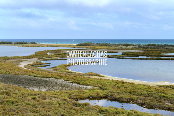 vnf dtrs crs tourisme biodiversite paysage camargue 008