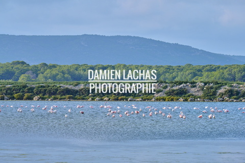 vnf dtrs crs tourisme biodiversite paysage camargue 011