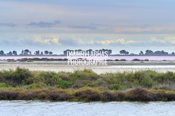 vnf dtrs crs tourisme biodiversite paysage camargue 014