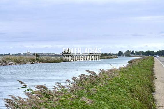vnf dtrs crs tourisme biodiversite paysage camargue 015