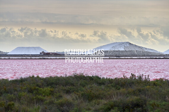 vnf dtrs crs tourisme biodiversite paysage camargue 016