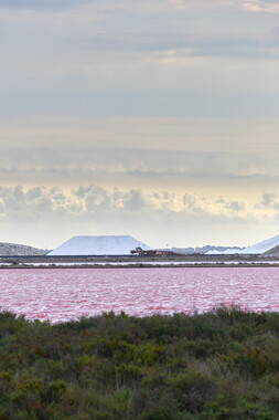 vnf dtrs crs tourisme biodiversite paysage camargue 017